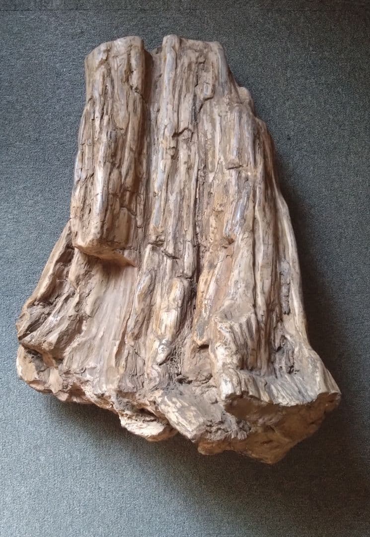 珪化木　木化石　大型　造園　希少品