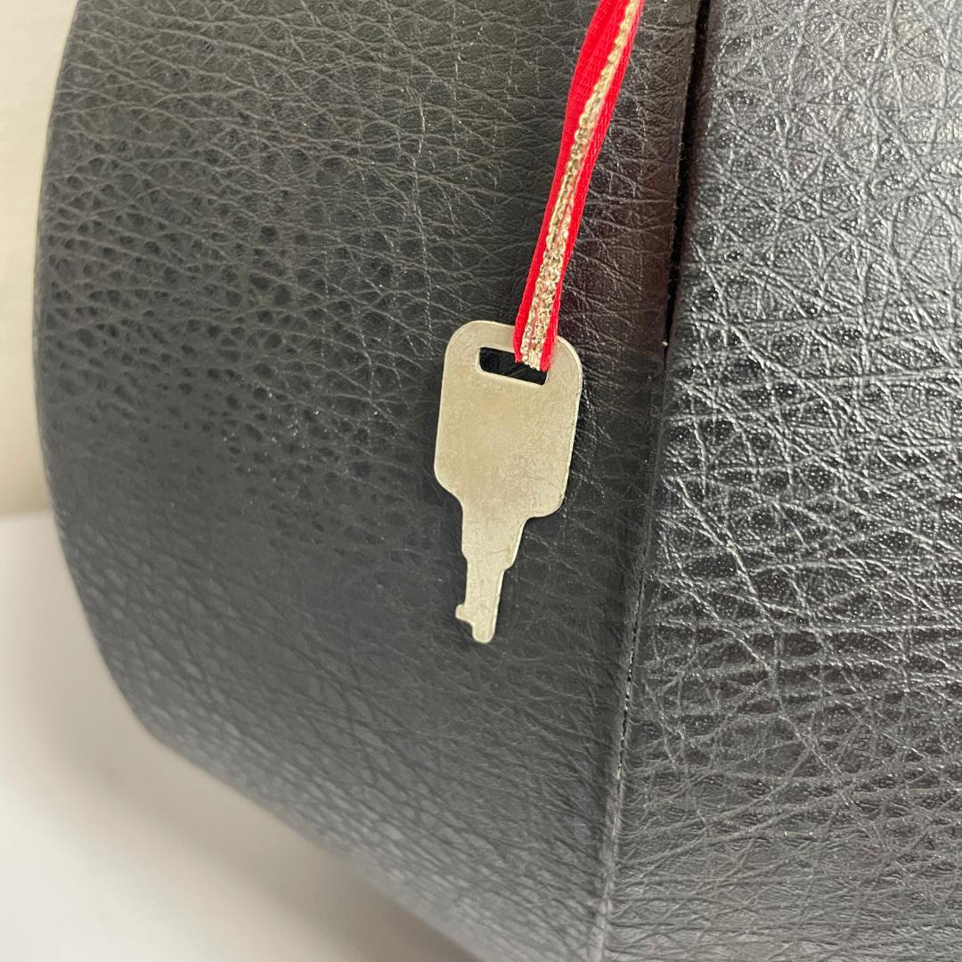 美品 SUZUKI M-210 鈴木バイオリン マンドリン ハードケース付