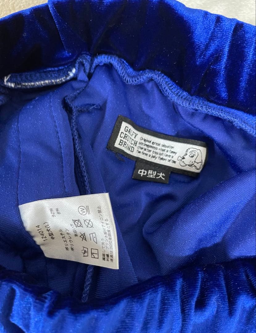 GALFY ガルフィー ピカピカ注射器 セットアップ　ブルー L