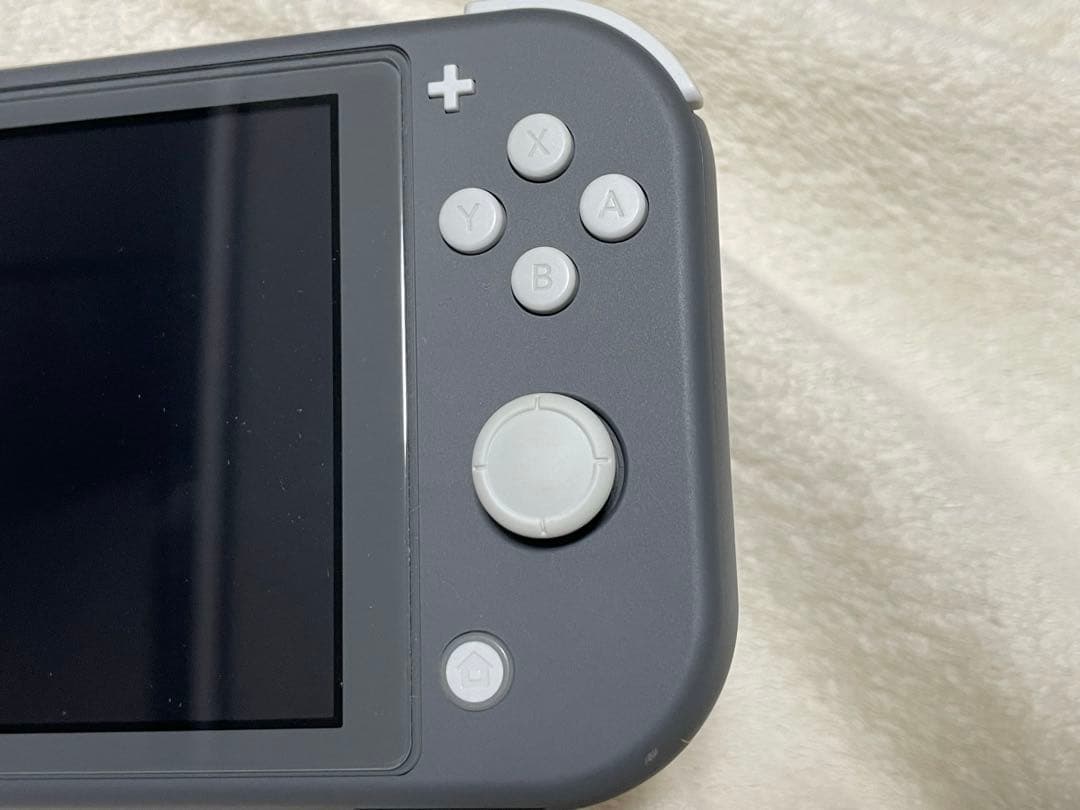 Nintendo Switch Lite グレー ソフト2本付き (値下げ不可)