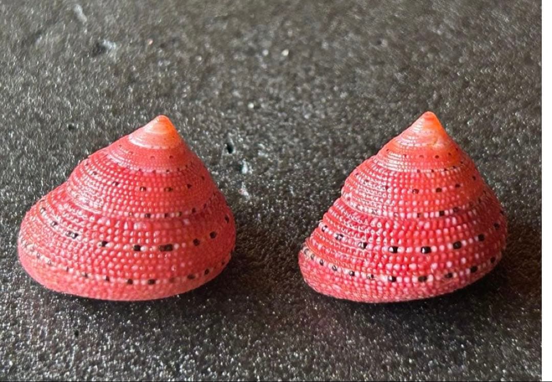 専用　まとめ11点