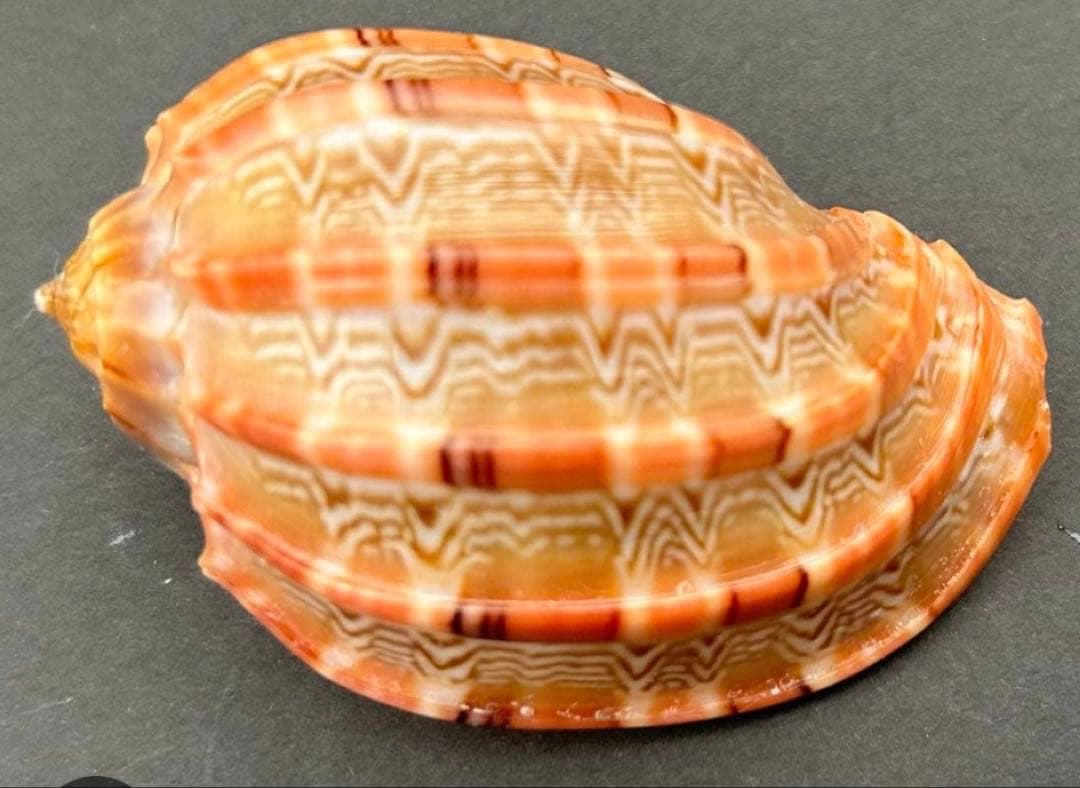 専用　まとめ11点