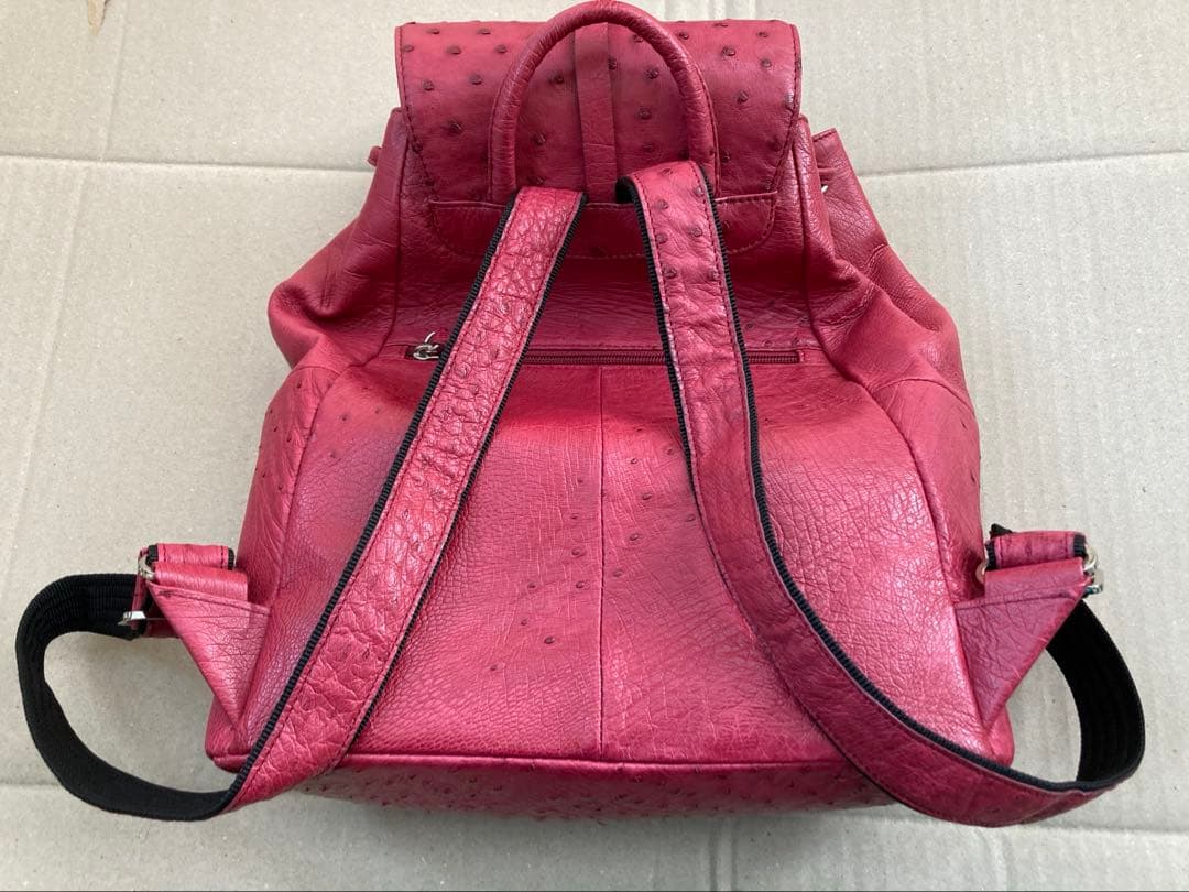 リュック　オーストリッチ　美品