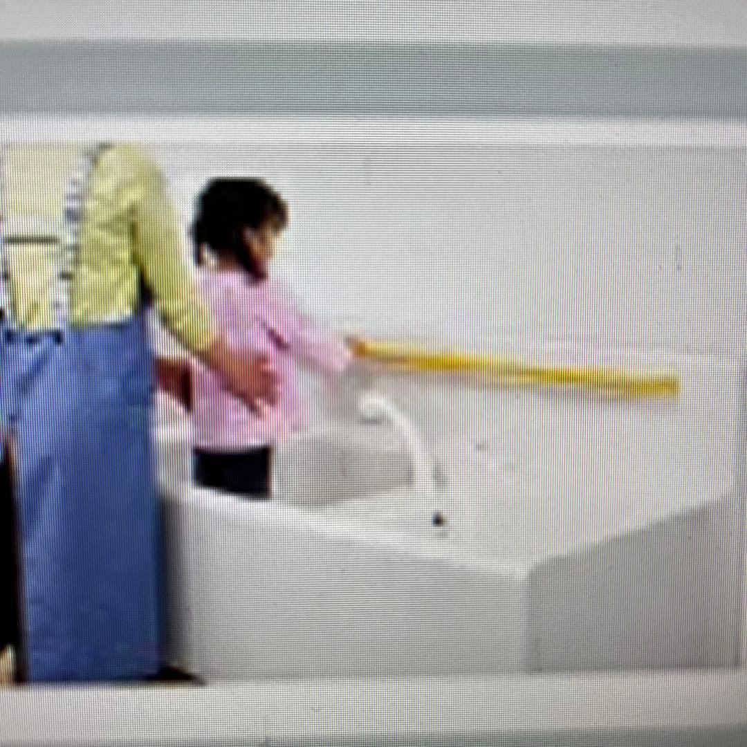 TOTO PFS1400CWR 二槽式幼児用バス　ホワイト