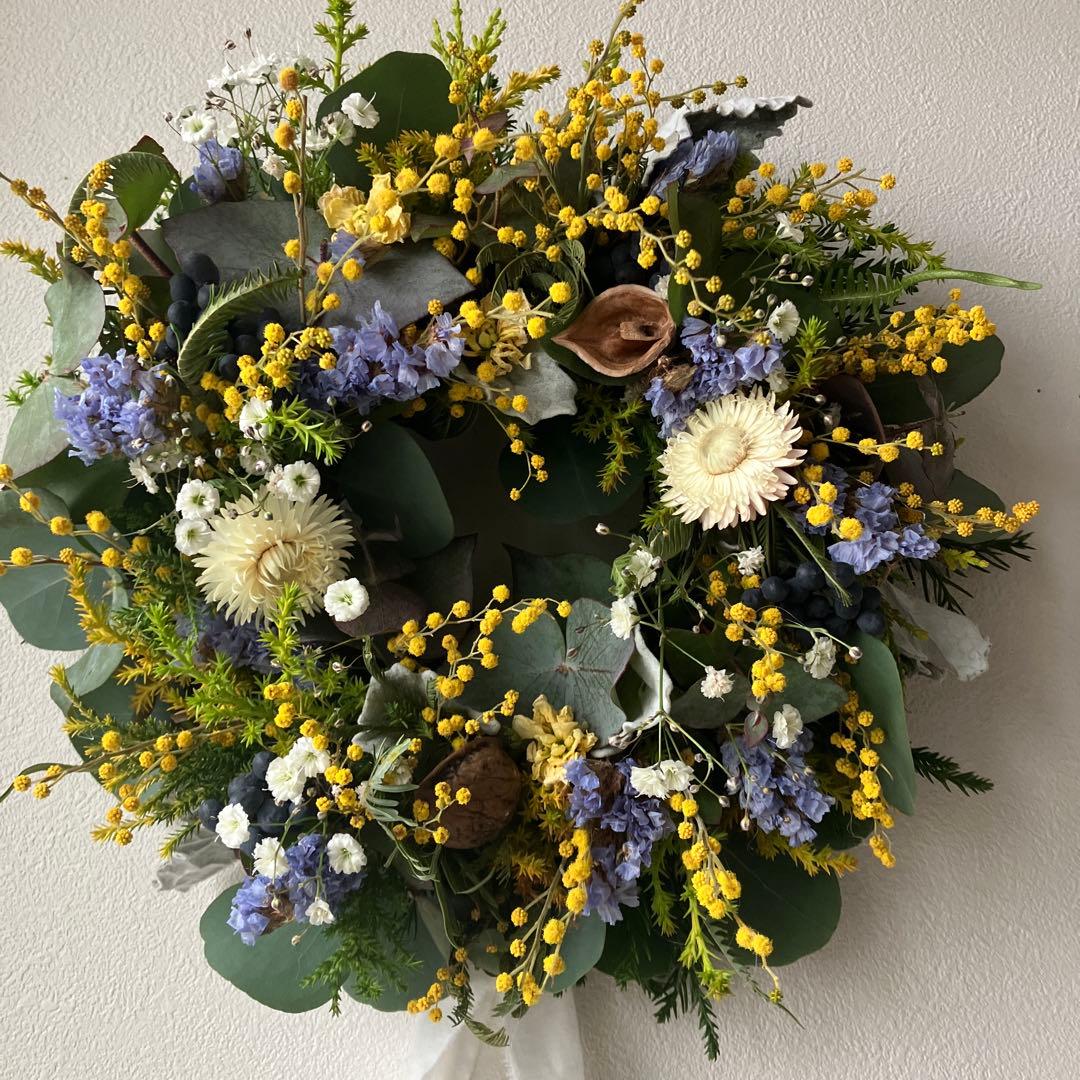 ミモザとブルースターチスのリース　ミランドールミモザ　貝細工　春
