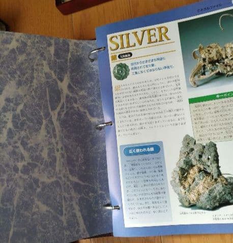 三NAKA-NAKA三 ディアゴスティー二　隔週間　トレジャー·ストーン