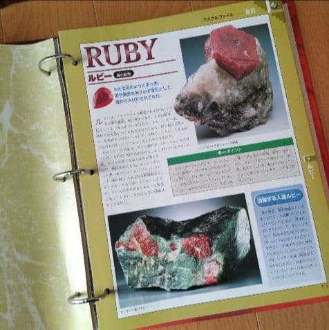 三NAKA-NAKA三 ディアゴスティー二　隔週間　トレジャー·ストーン