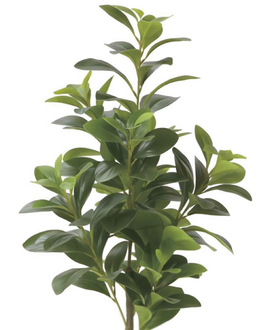 光触媒　人工観葉植物　フェイクグリーン　フレッシュマネーツリー 90