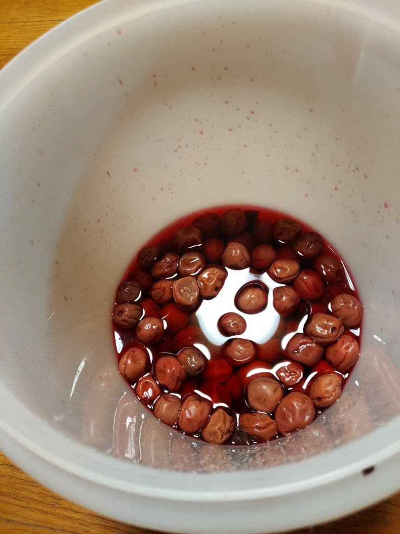 タッパーウェアフタ付きプラスチック保存容器 直径28cm