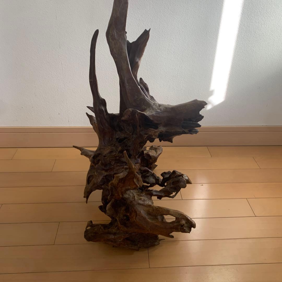 希少‼️ 木製インテリア置物 自然形状　流木(50×50×66)