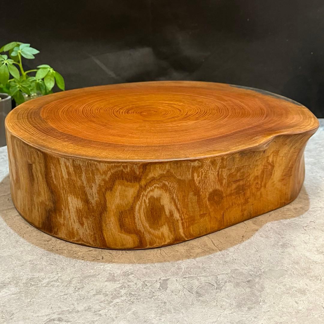 707 切り株　丸太　輪切り　欅　スツール　ディスプレイ台　インテリア　オブジェ