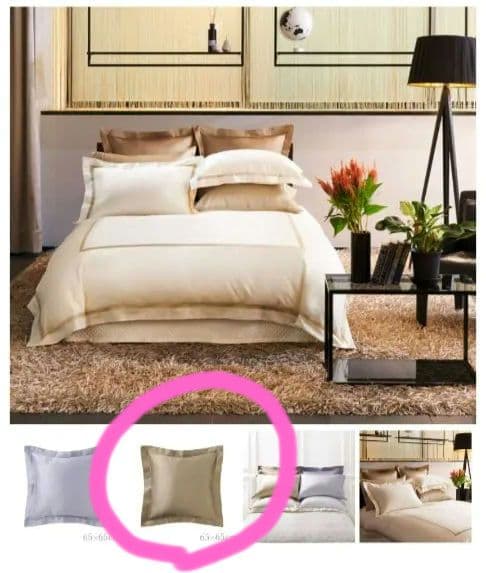 カバー付★羽毛ダウン枕&クッション各2個セット ホテルライクインテリア 訳あり