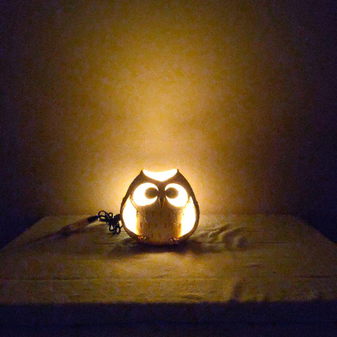 ふくろうのランプ　フクロウ照明　明山陶業　信楽焼