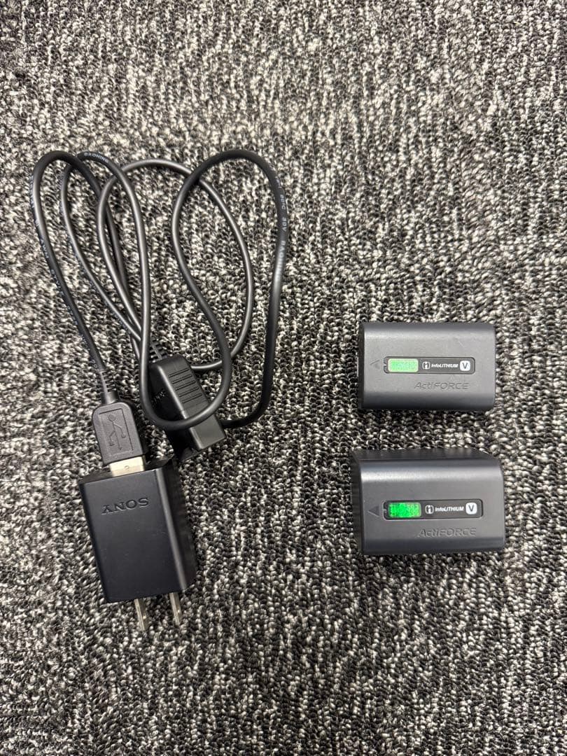 SONY ビデオカメラ HDR-CX535