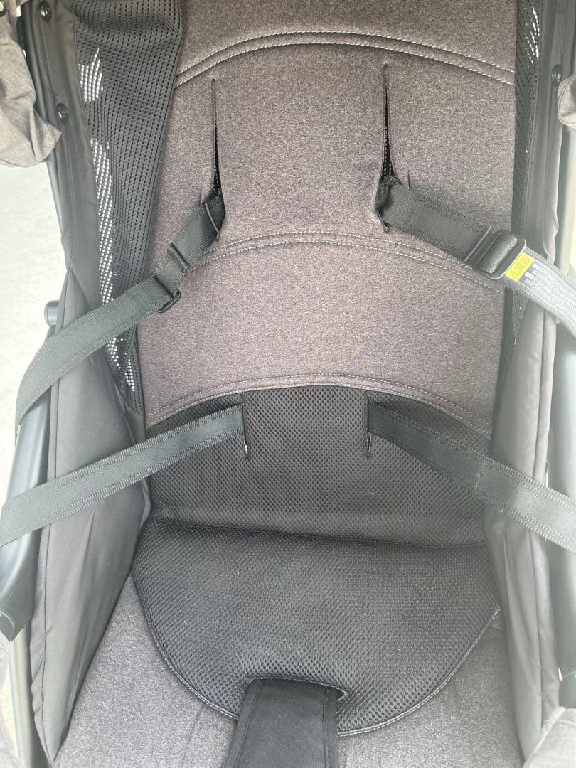 pigeon Bingle bb3 チャコールグレー