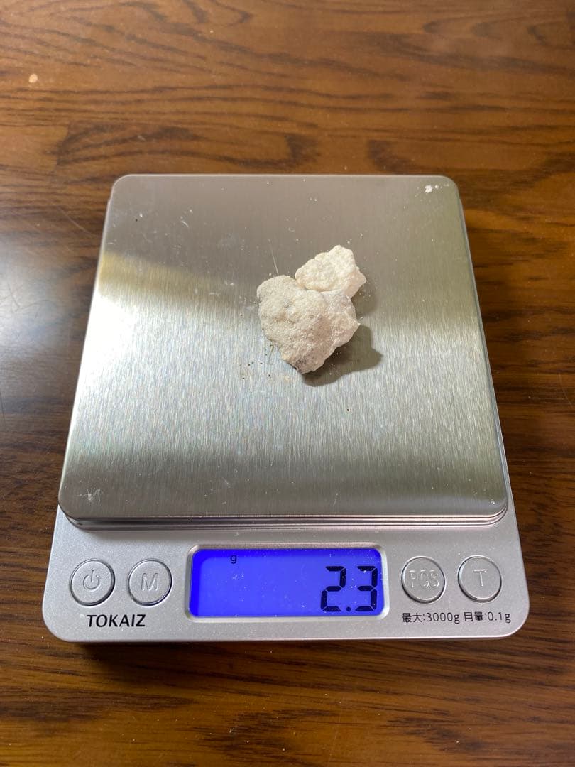 【希少品】　龍涎香　アンバーグリス　ホワイト