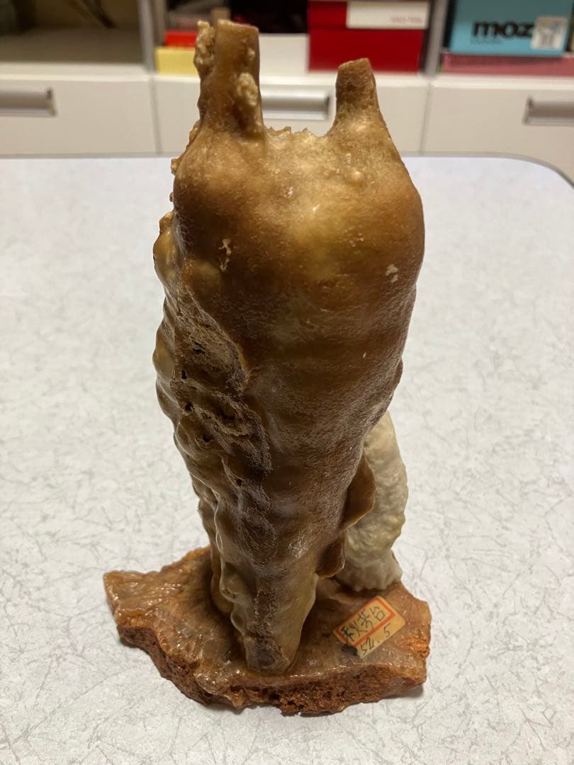 秋芳洞　鍾乳石