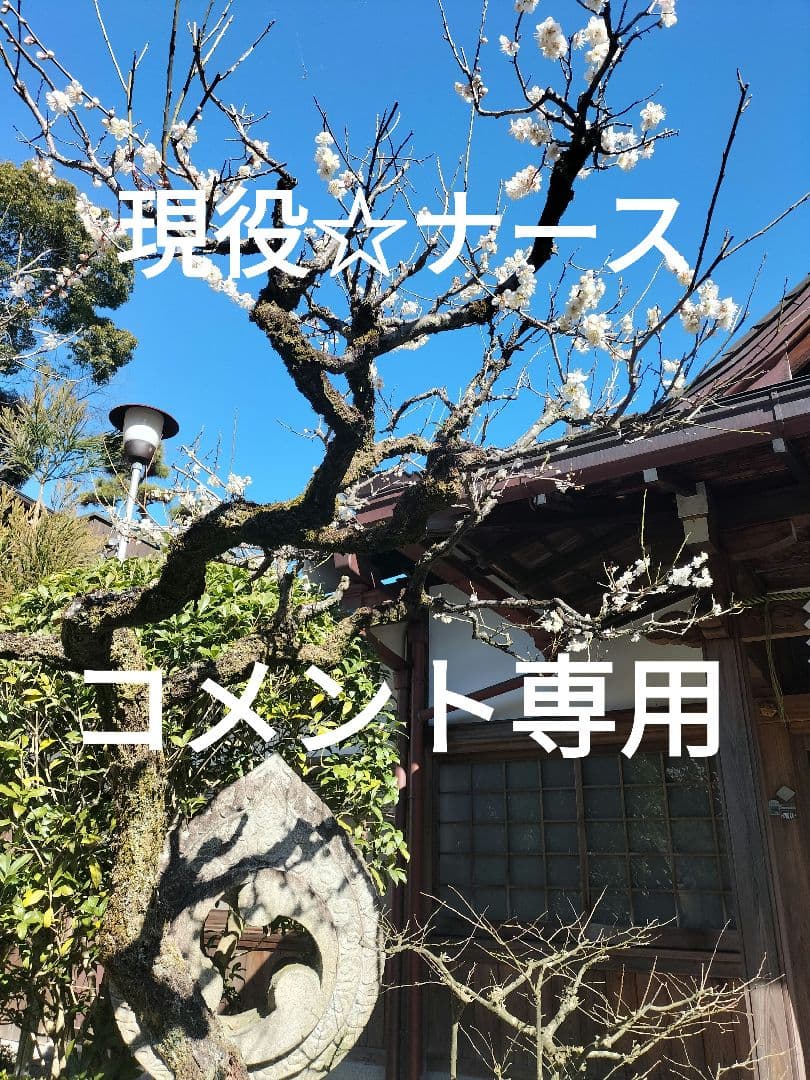 レイキヒーリング＆タロット占い＆水晶玉霊視