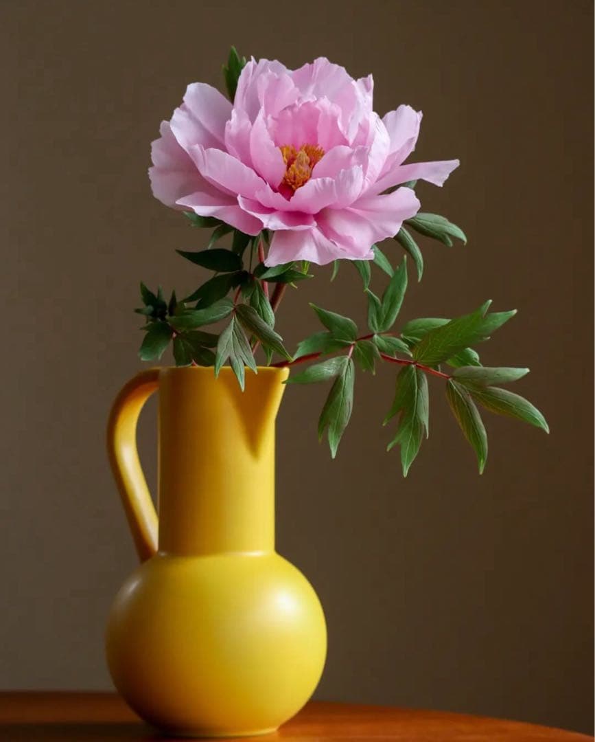 raawii ジャグ花瓶 S