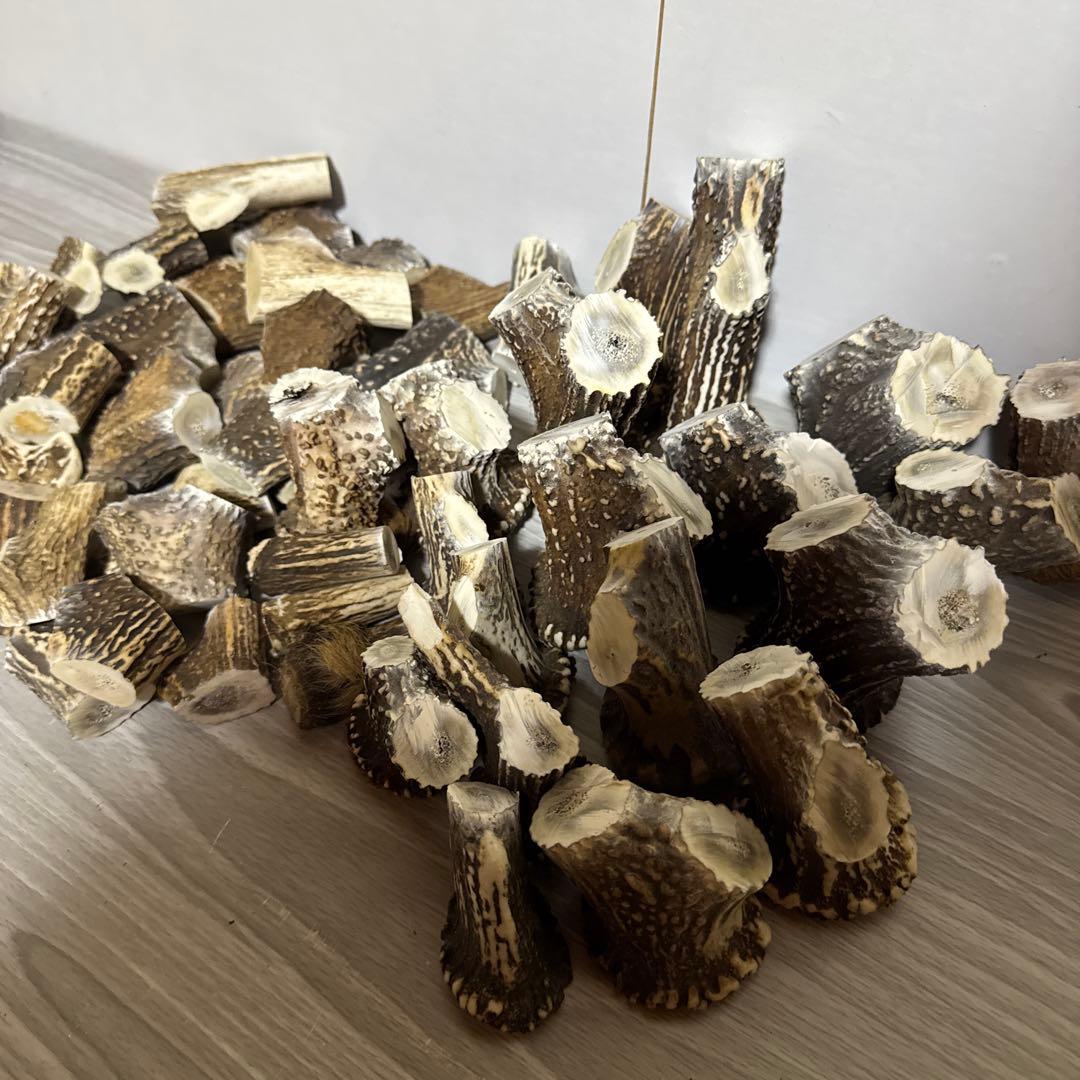 鹿の角　端材Ａ　ハンドメイド用