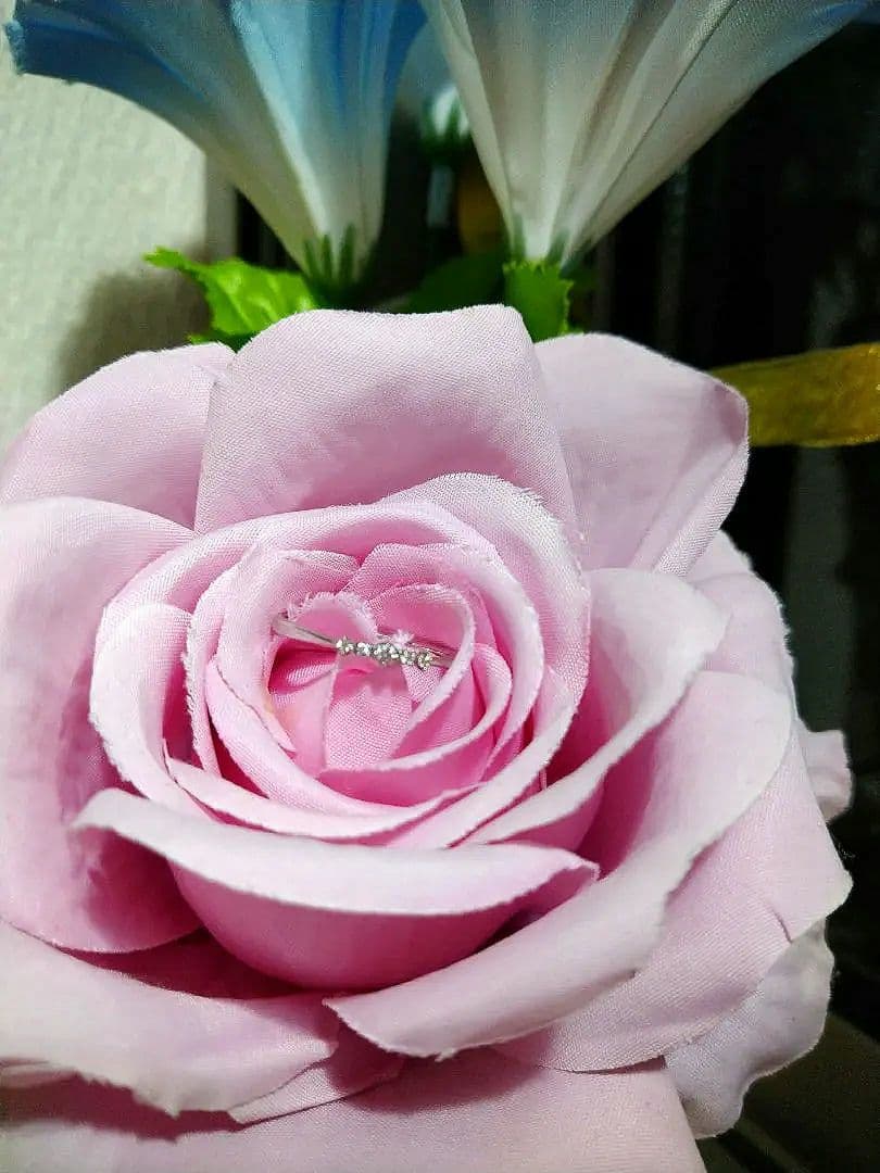 サマンサシルヴァｋ１０　WG　ダイヤモンド　　リング ９号