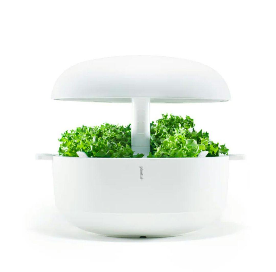 特価！！80%割引♪Plantui 北欧ブランド　水耕栽培 LED付き