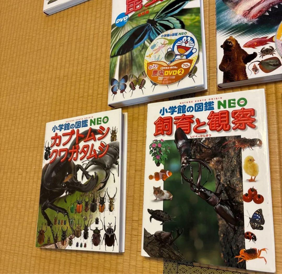 【すしろー】小学館の図鑑NEO 13冊セット　DVD付き　美品
