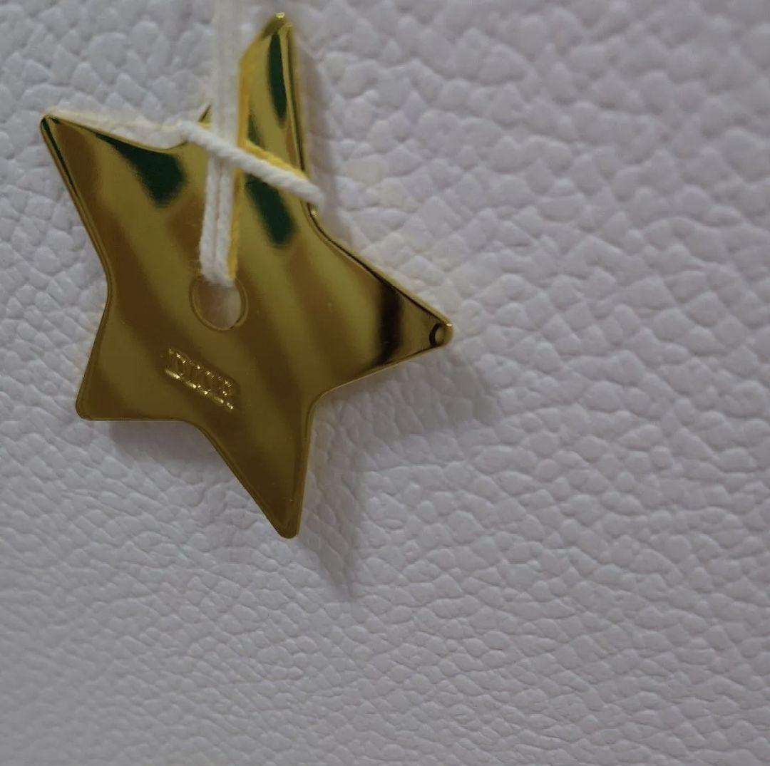 【美品】Dior ディオール　空箱　ショッパー　レディディオール