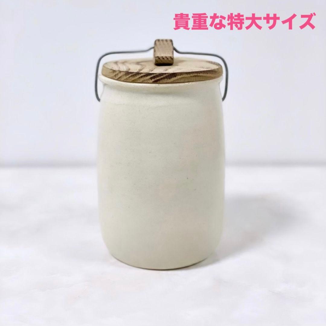 希少 市川孝 耐火蓋物1個 伊藤聡信剛俊鈴木環辻和美河合竜彦岡晋吾さつき内田京子