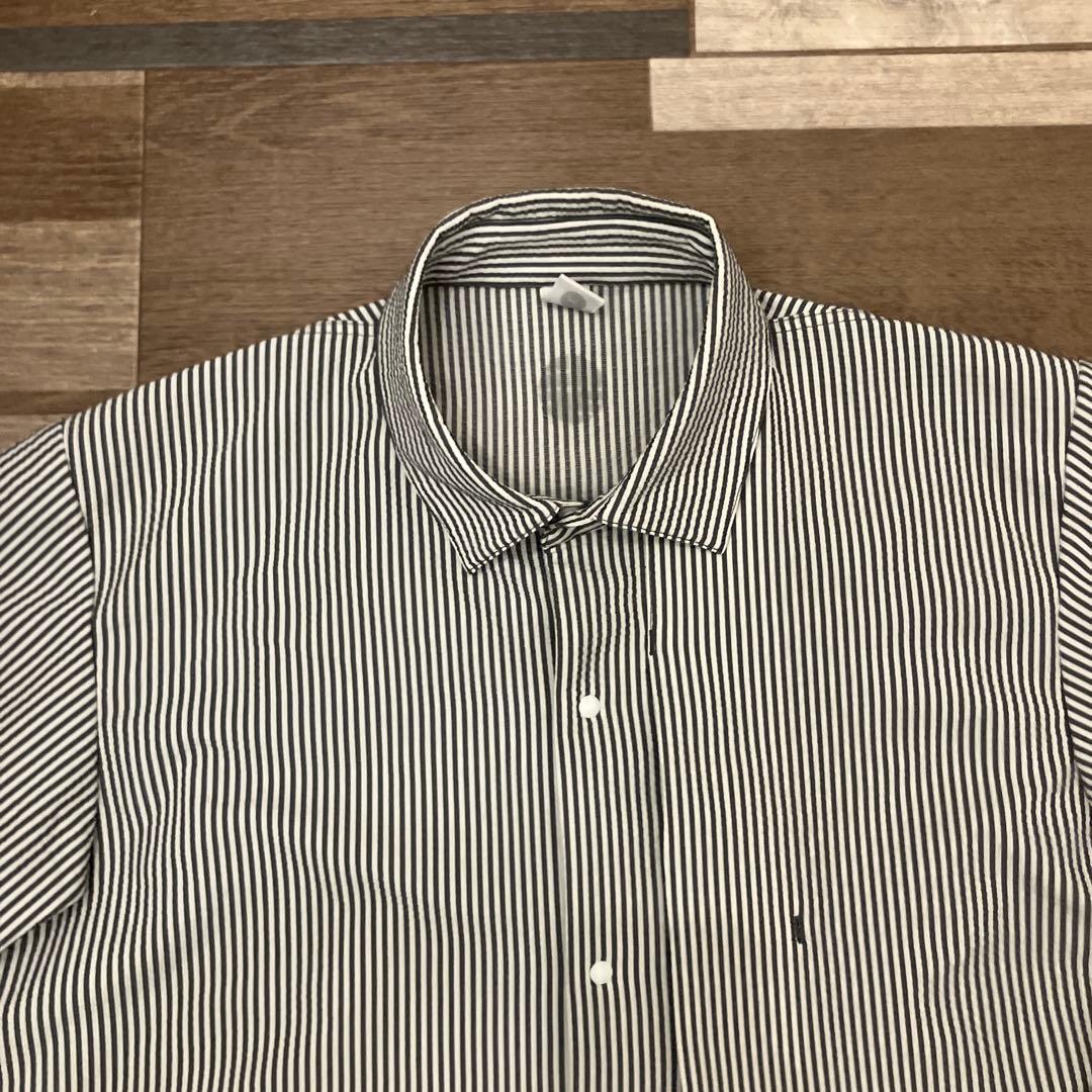 【alk phenix】極美品　ストライプシャツ グレー×白 アルクフェニックス