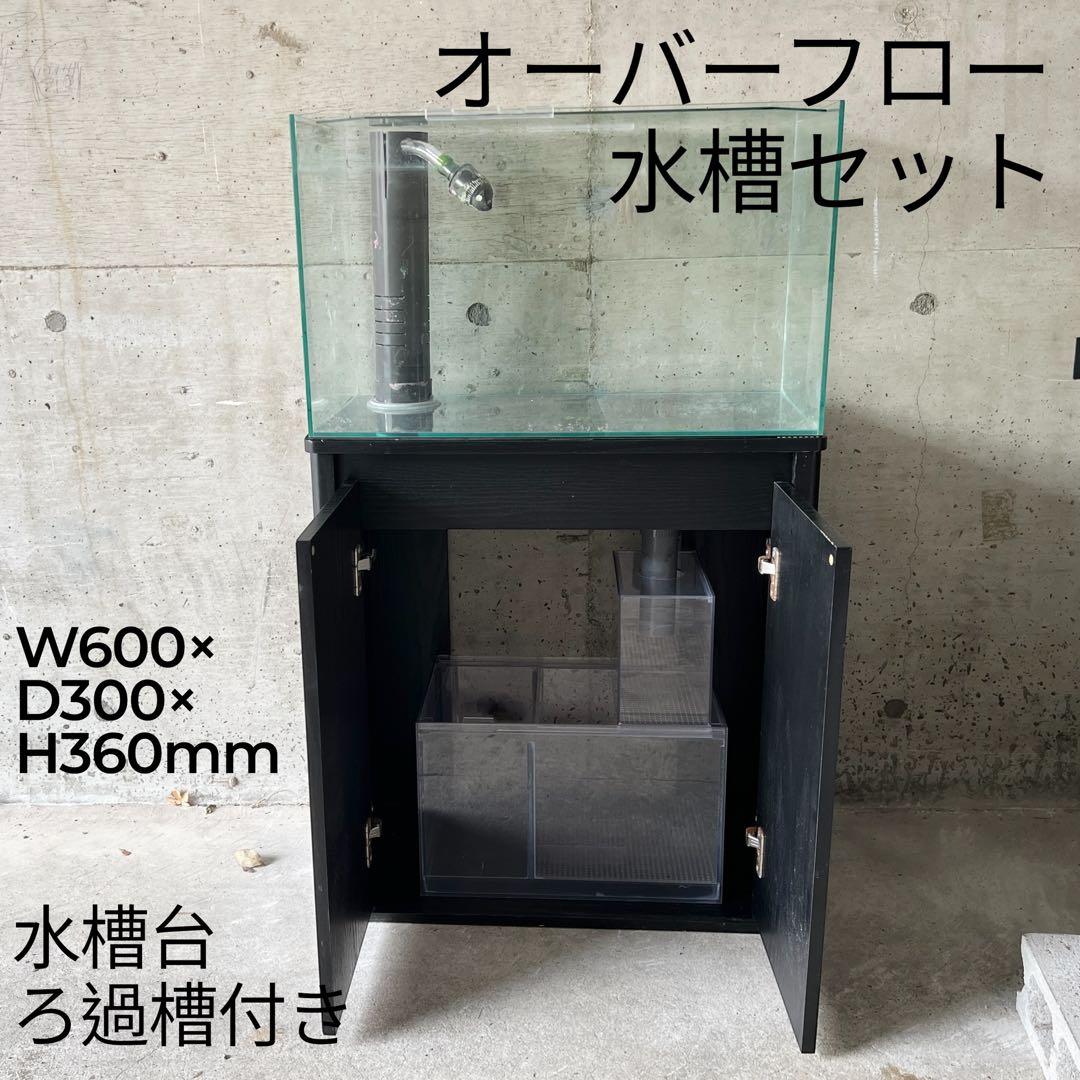 【セット】コトブキ 60cmオーバーフロー水槽セット★海水魚・サンゴ飼育に！