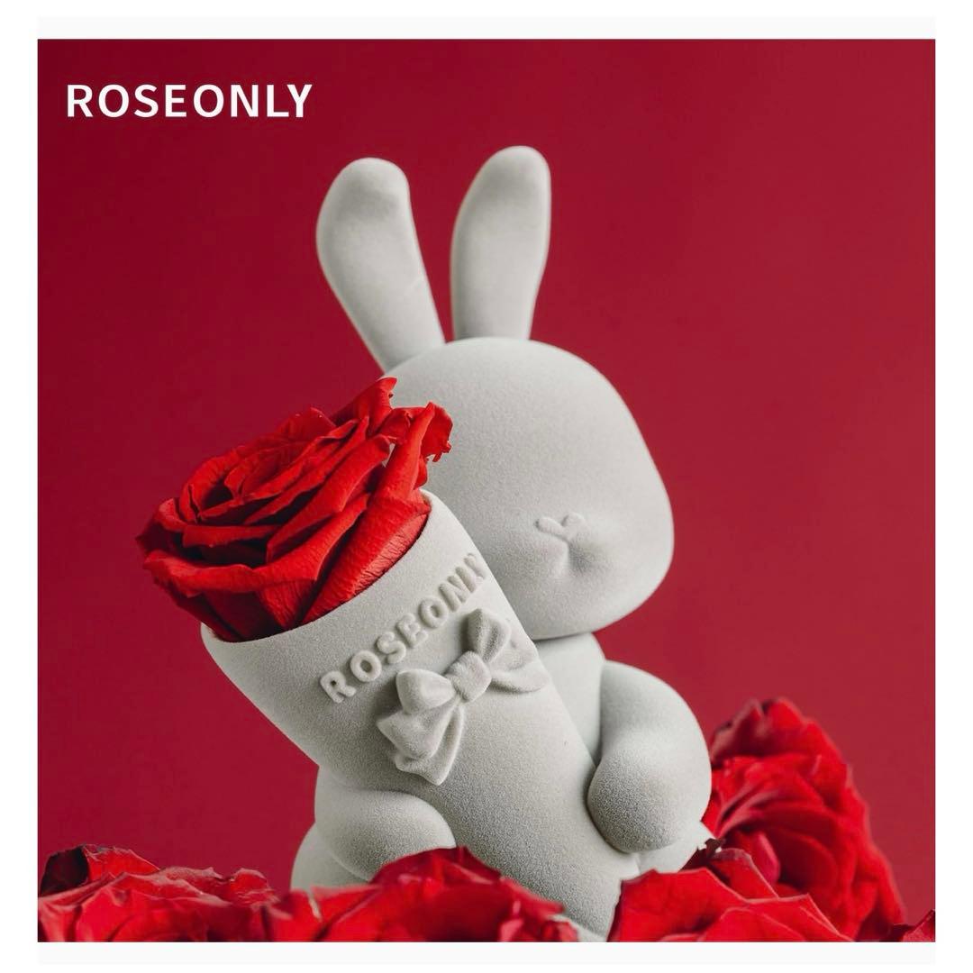 ⭐️ ROSEONLY プリザーブドフラワー ハニーラビットデスティニーローズ