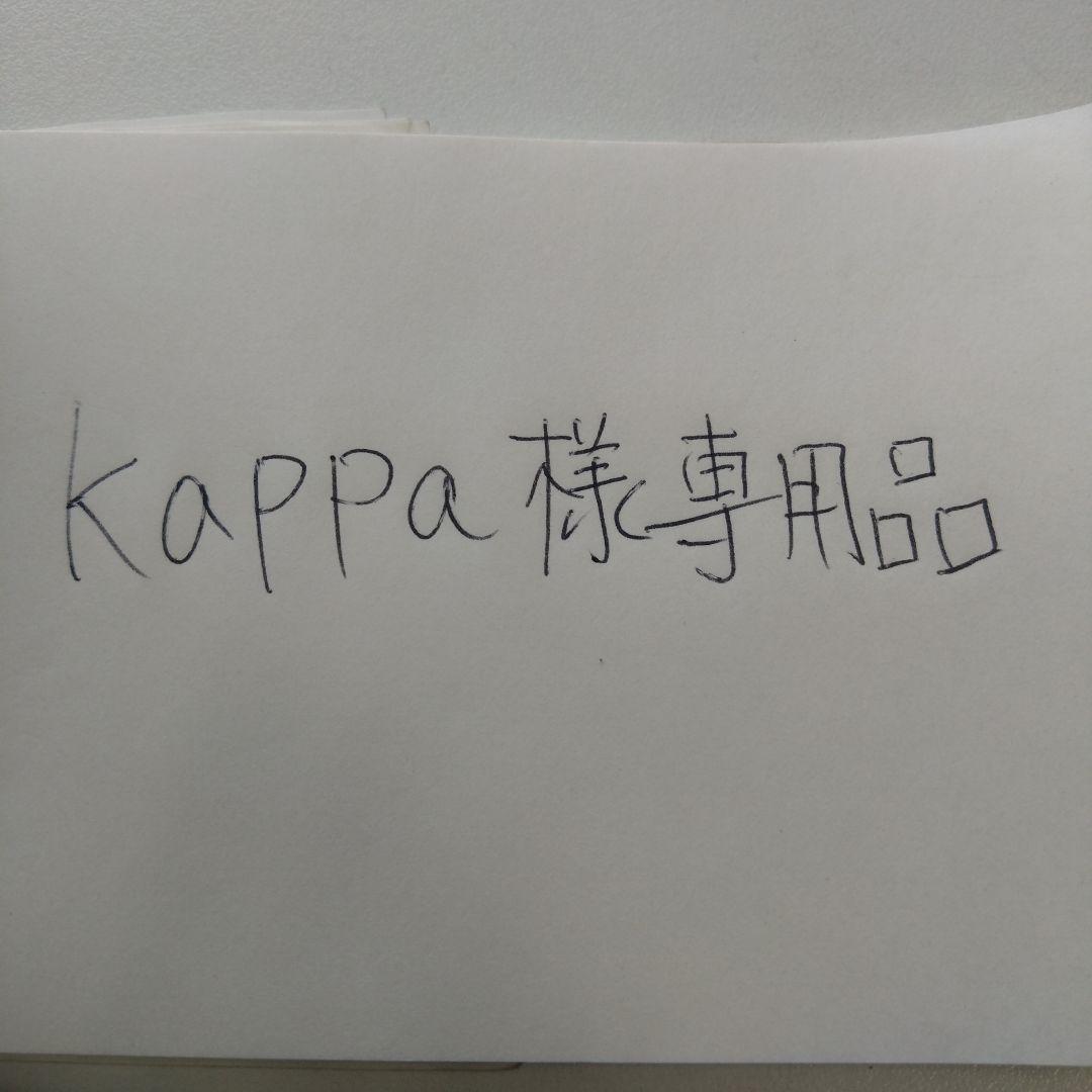 Kappa品 195-80-15 2本セット