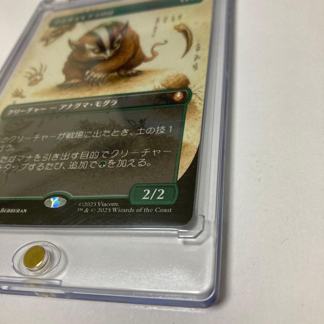 c*l様 MTG アナグマモグラの仔/Badgermole Cub ボーダーレス