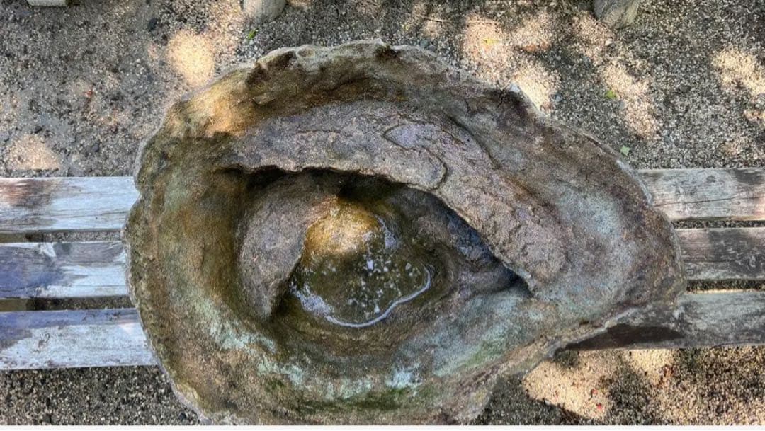 自然石風 水鉢　めだかの館オリジナル一品手作りメダカ鉢　横幅約73㎝