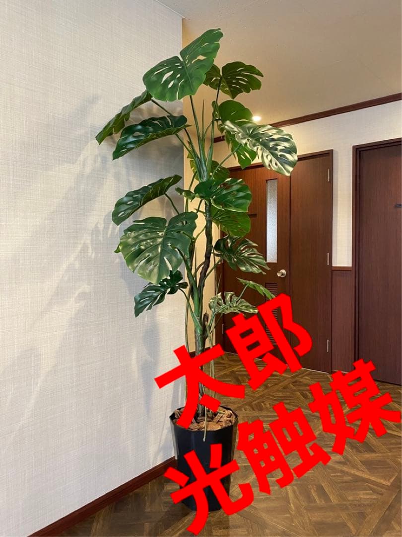 光触媒　人工観葉植物　ウォールグリーン　フェイクグリーン　モンステラ175