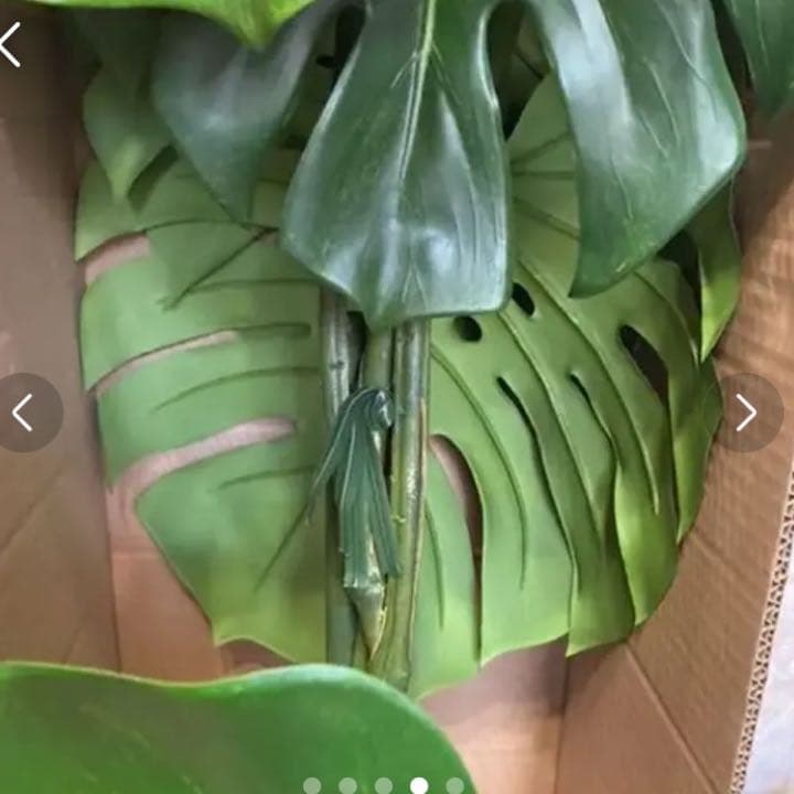 光触媒　人工観葉植物　ウォールグリーン　フェイクグリーン　モンステラ175