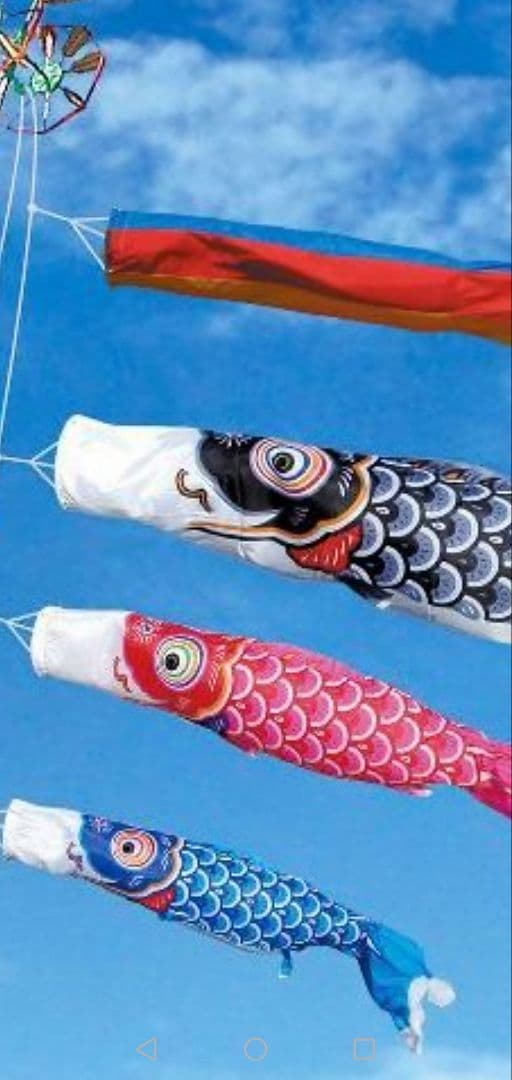 ●激安！新品♪保管品　日本号鯉のぼり6点セット●ポール別売り⑤５ｍ級