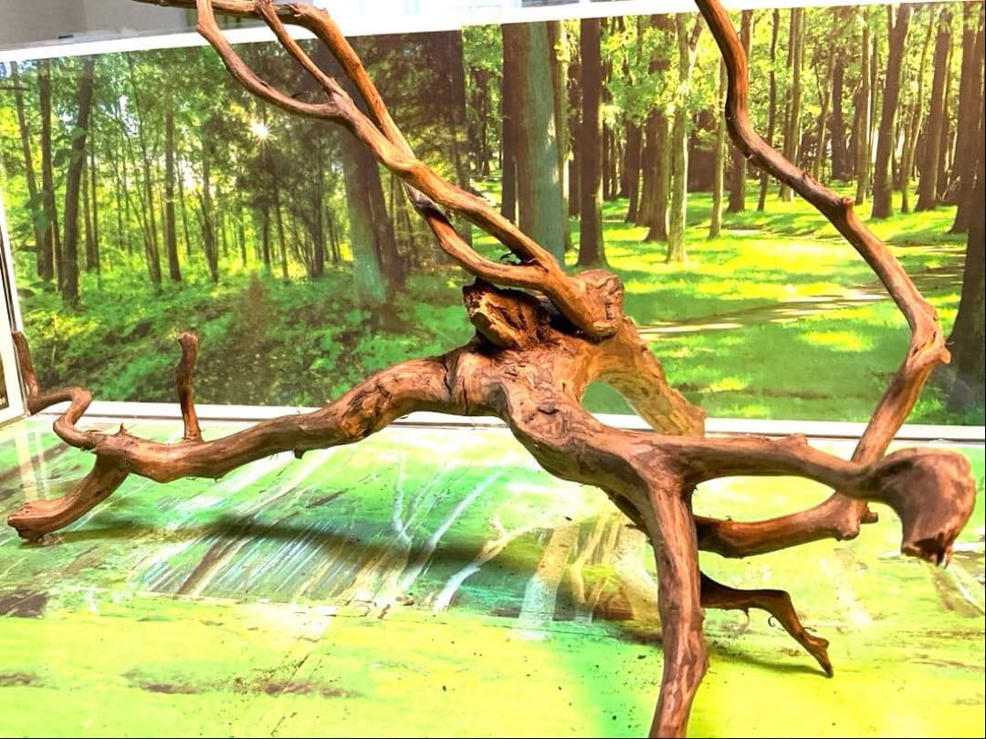 エムエー様 リクエスト 6点 まとめ商品