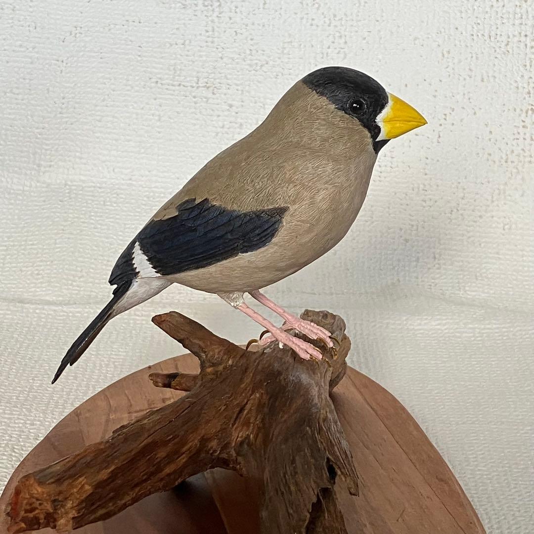 バードカービング木製鳥の彫刻(イカル)