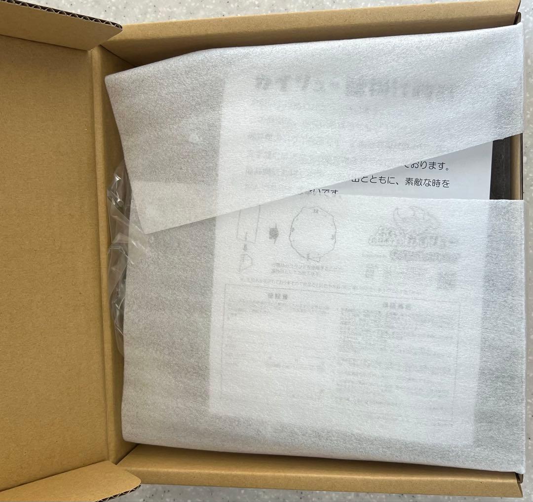 福井県限定 ポケモンセンター カイリュー 壁掛け時計