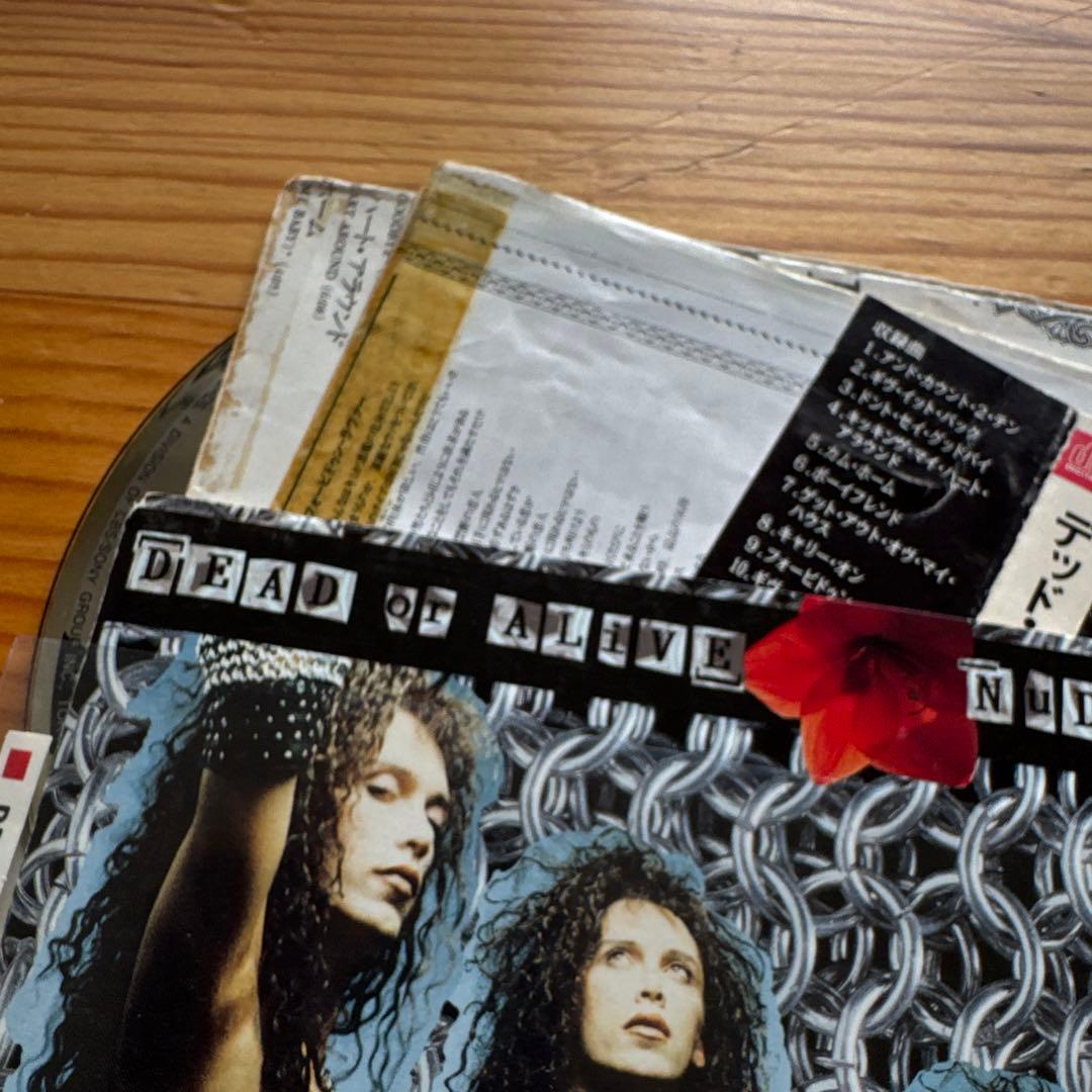 Dead or Alive CD 12枚セット　レンタル落ち含む