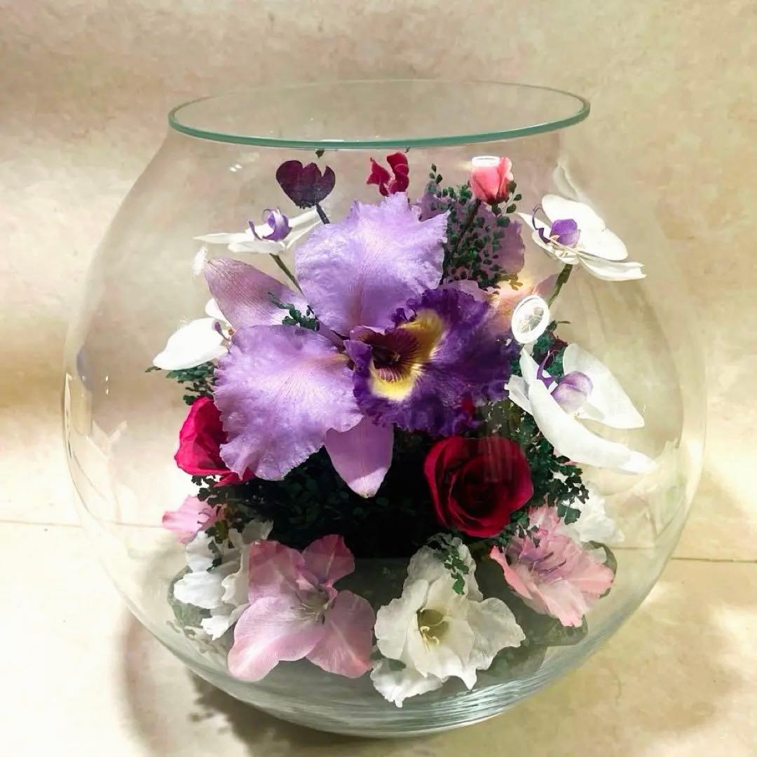 ≪レンデフロール≫カトレア・胡蝶蘭・バラ・グラジオラス （C-V）　LL