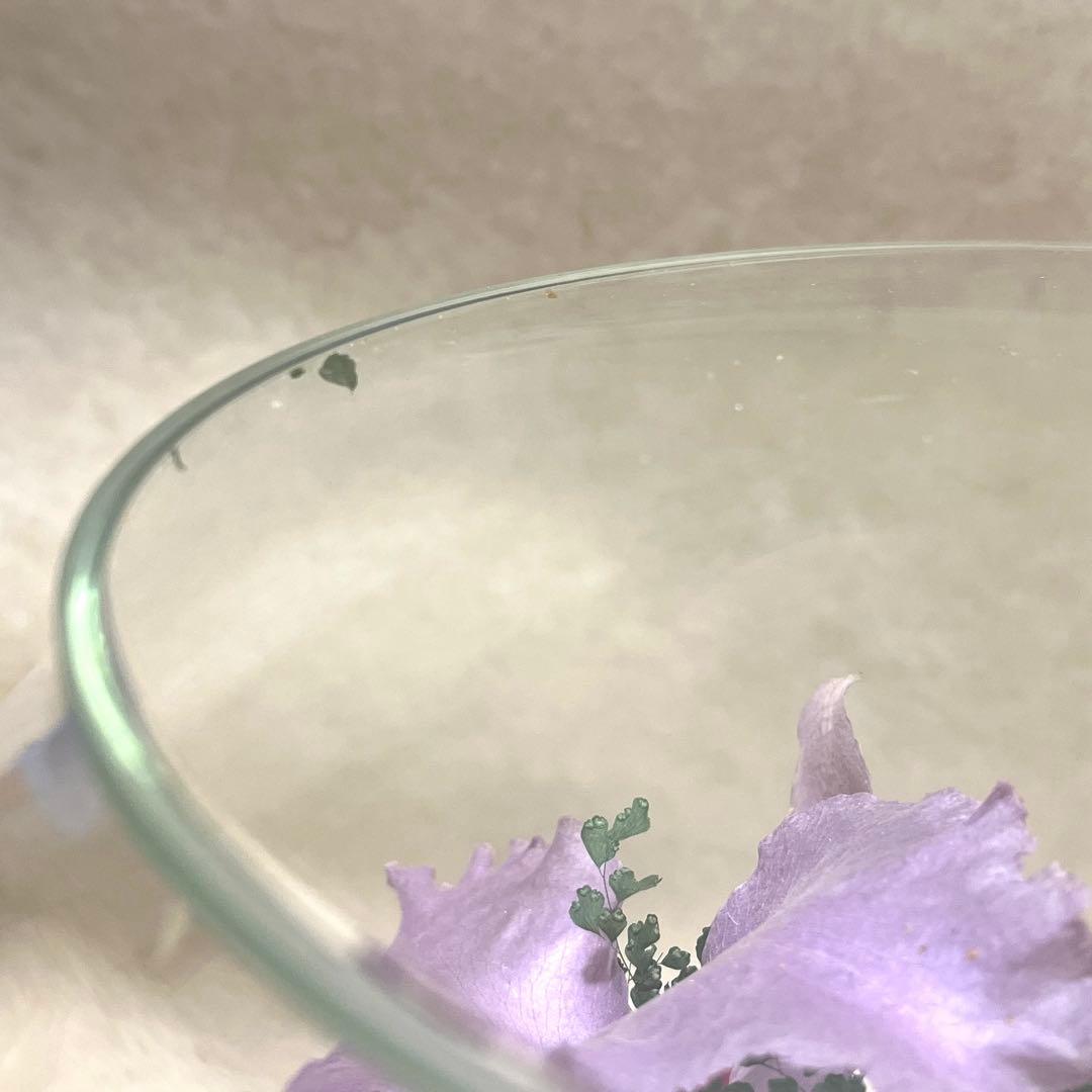 ≪レンデフロール≫カトレア・胡蝶蘭・バラ・グラジオラス （C-V）　LL