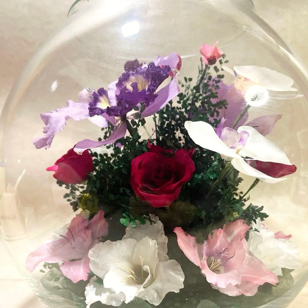 ≪レンデフロール≫カトレア・胡蝶蘭・バラ・グラジオラス （C-V）　LL