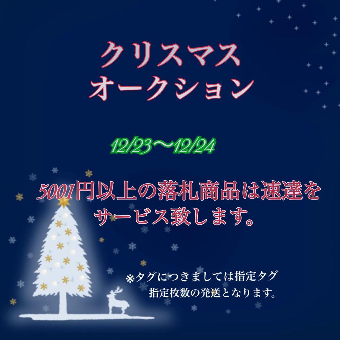 S*2様 【クリスマスオークション】④サイズ大　ぶつぶつ　アガベ　鰐亀　TC