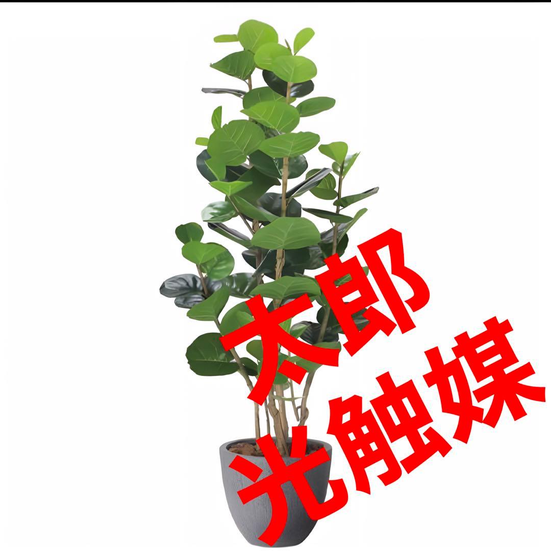 光触媒　人工観葉植物　フェイクグリーン　ナチュラルシーグレープ1.6