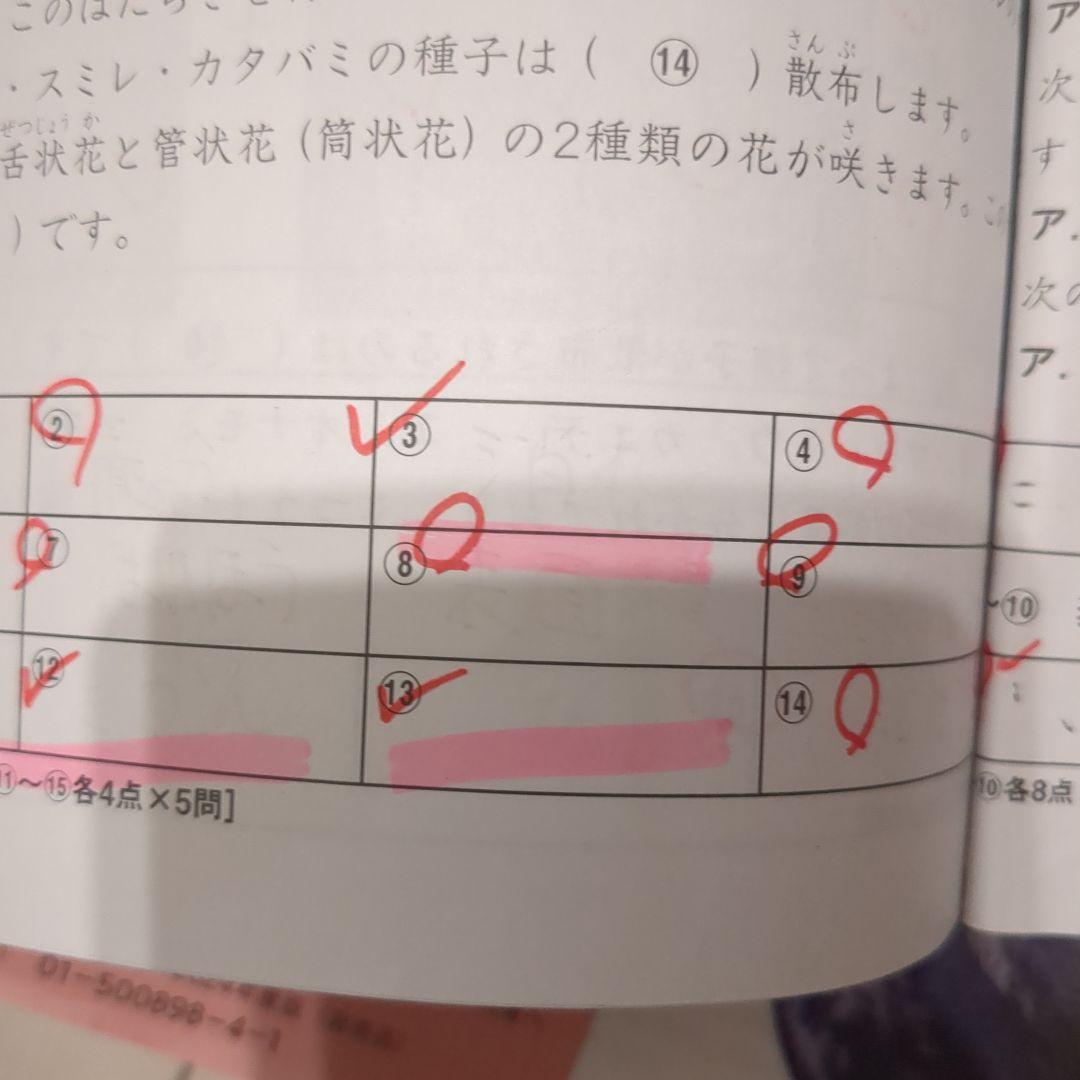 SAPIX理科社会デイリーサピックス 5年生　1年分