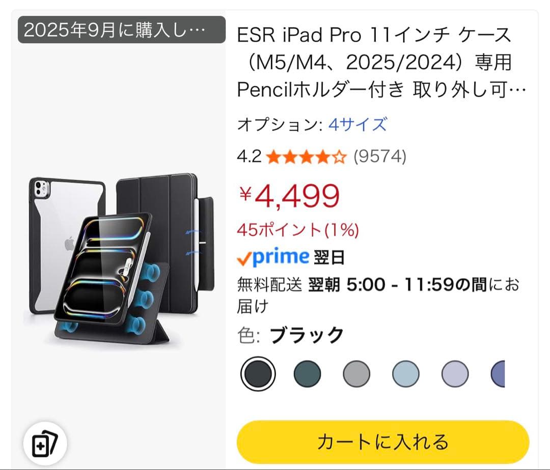 親*方様 美品 iPad Pro M4 11inch 256GB Wi-Fiモデ