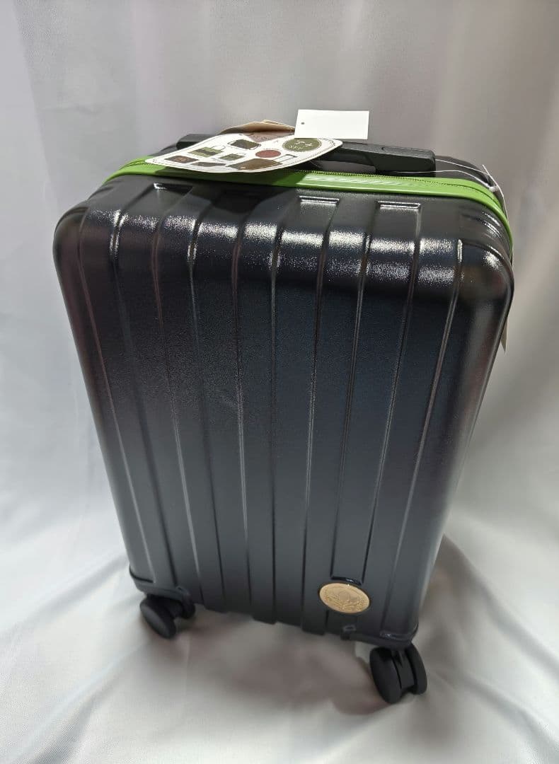 しまむら ちはる ハッピーバッグ アナと雪の女王 アナ キャリーバッグ